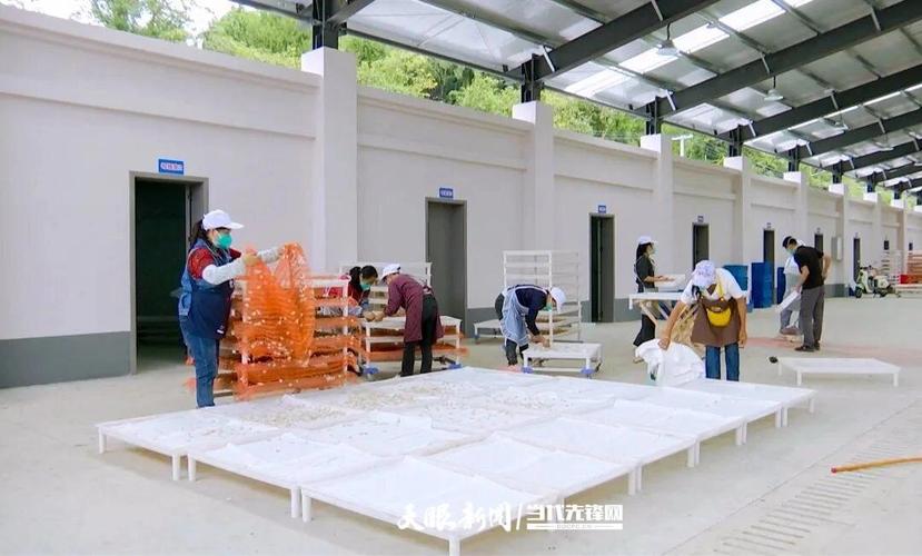 "我们蚕种场自从六月份开始投入使用以来,到现在已经生产了一代杂交种